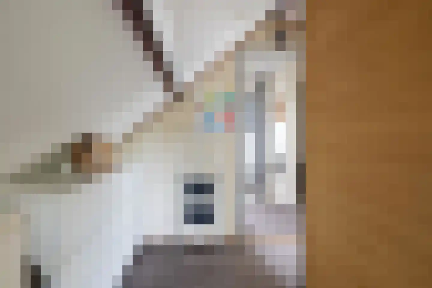 De Pompstraat 22 Klijndijk thumbnail 30