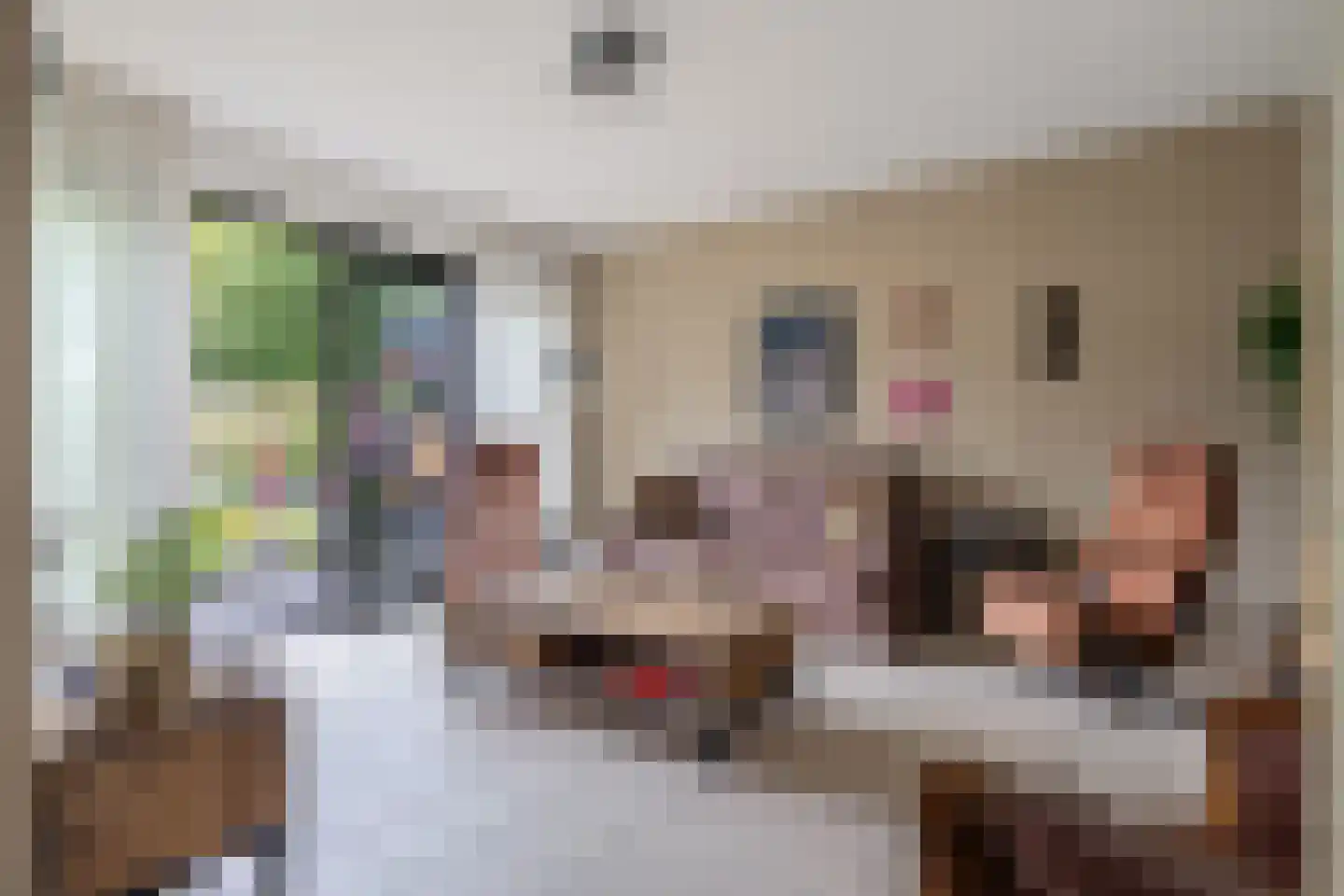De Pompstraat 22 Klijndijk thumbnail 7