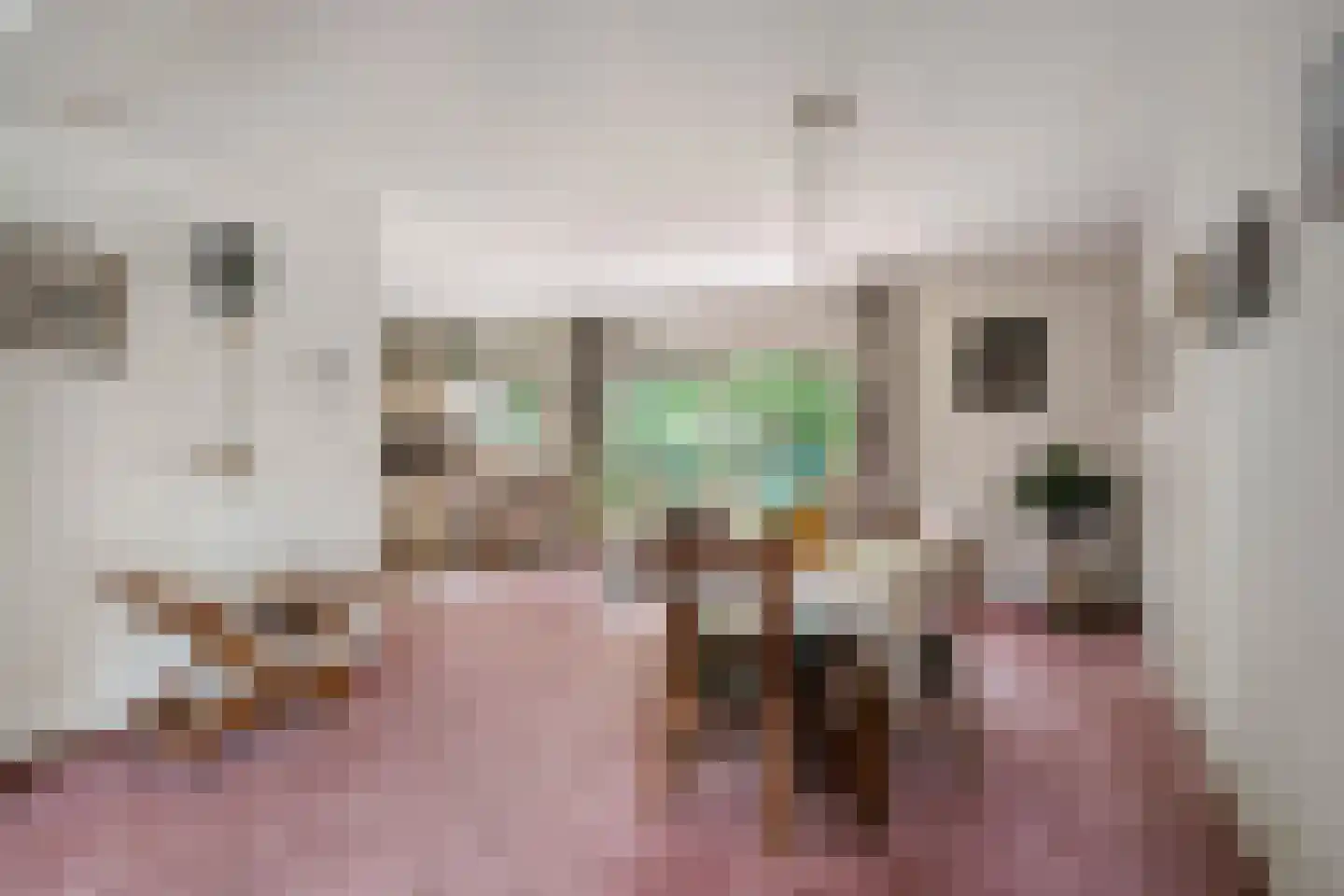 De Pondemaat 9 Dronten thumbnail 13