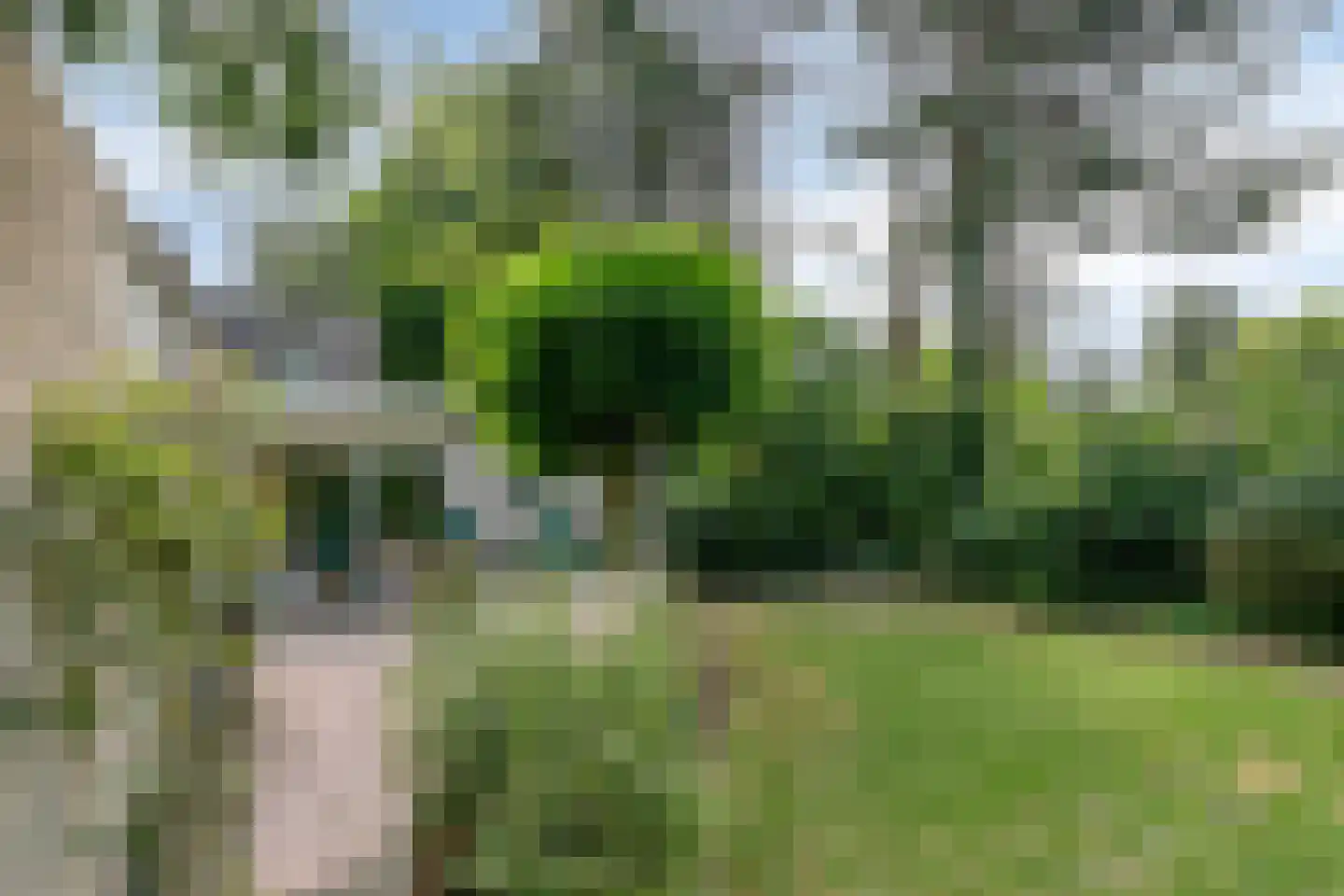 De Pondemaat 9 Dronten thumbnail 36