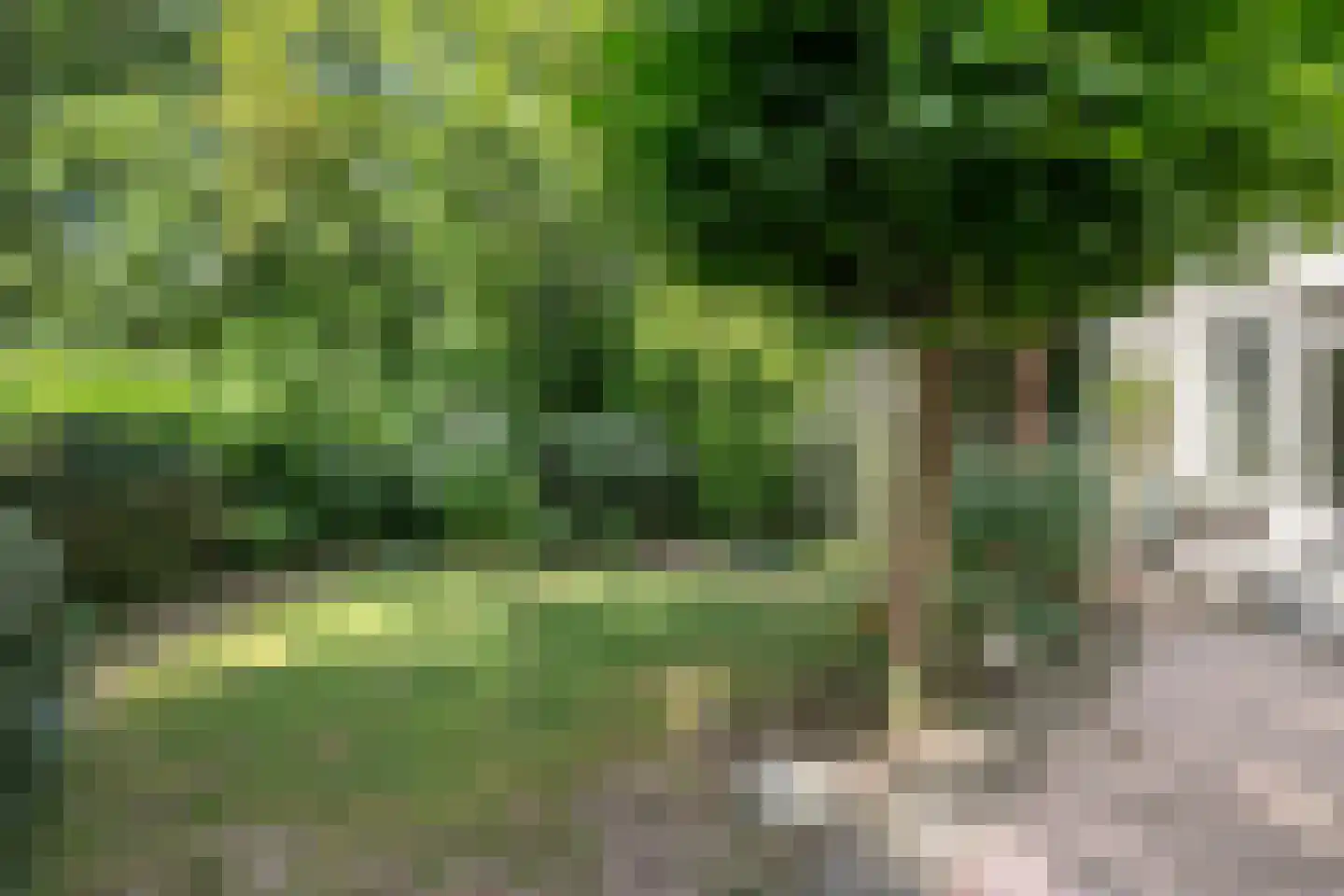 De Pondemaat 9 Dronten thumbnail 39