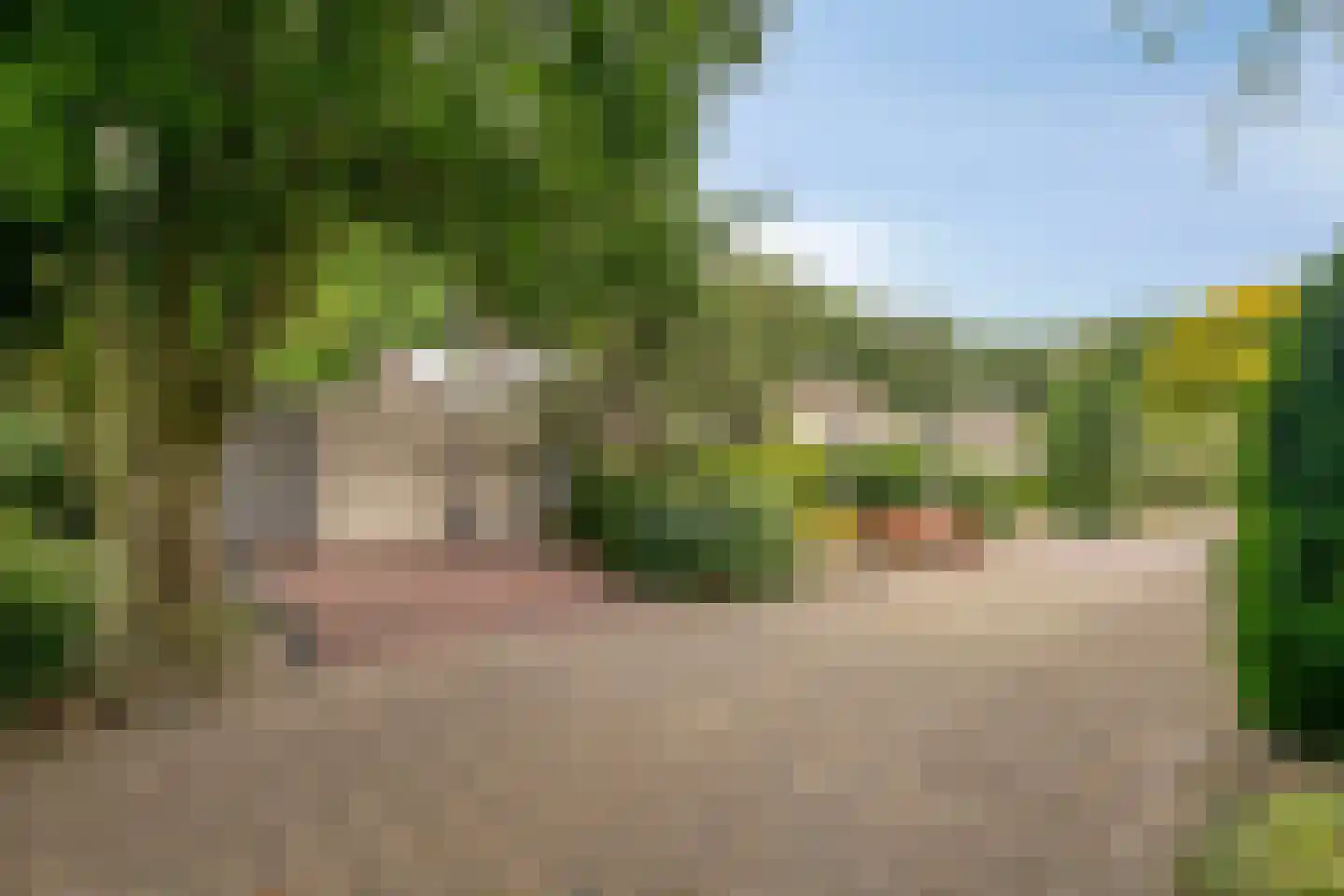De Pondemaat 9 Dronten thumbnail 43