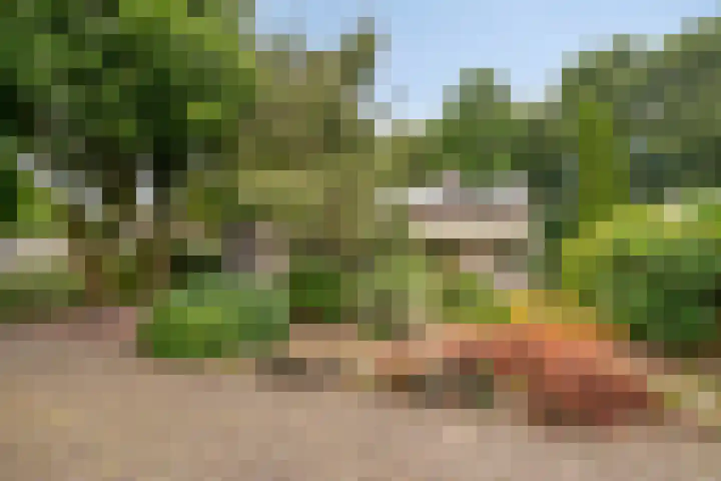 De Pondemaat 9 Dronten thumbnail 44