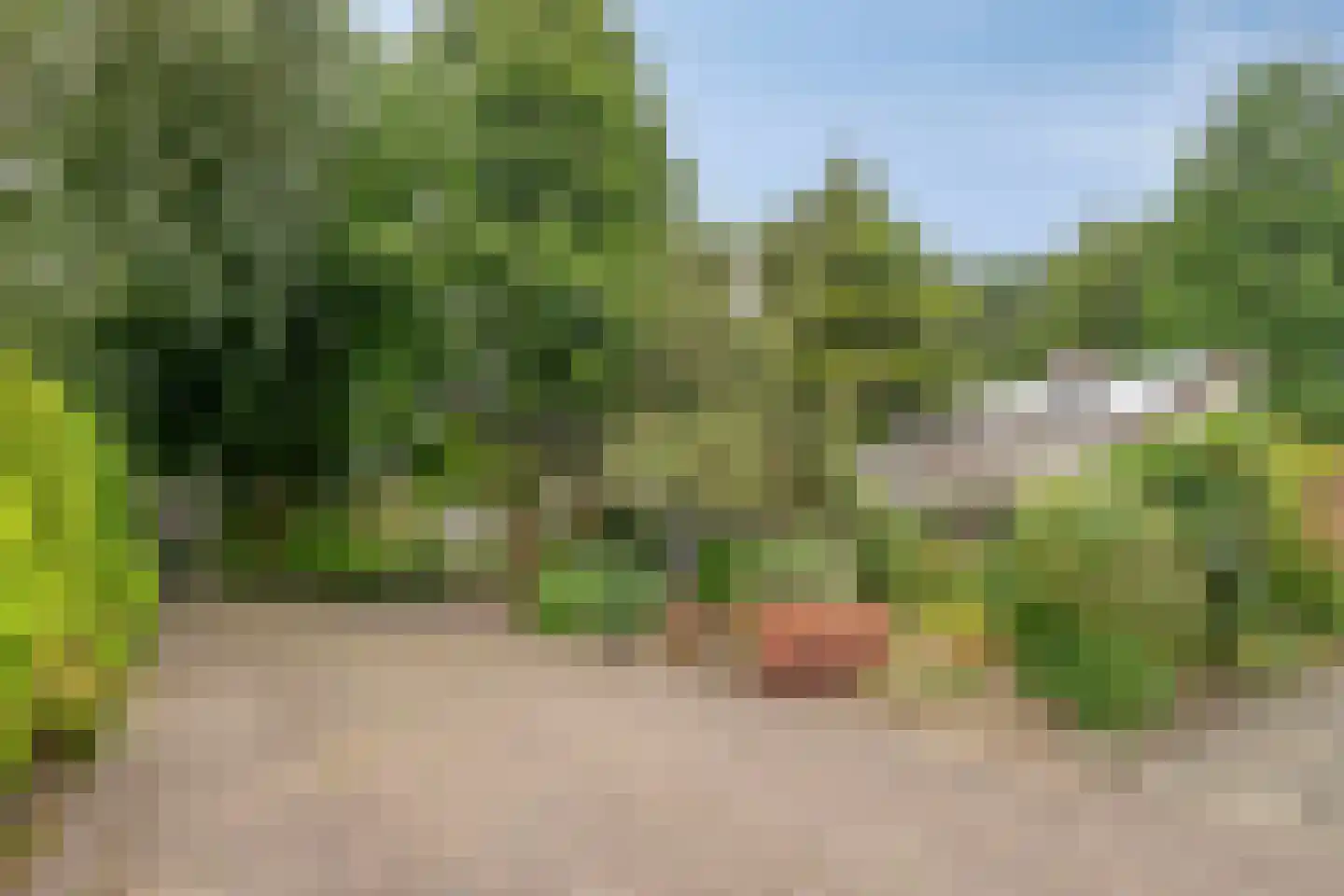 De Pondemaat 9 Dronten thumbnail 45