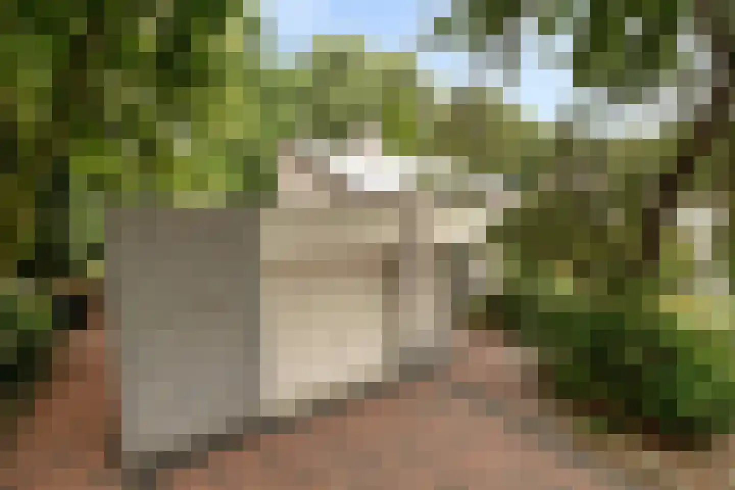 De Pondemaat 9 Dronten thumbnail 46