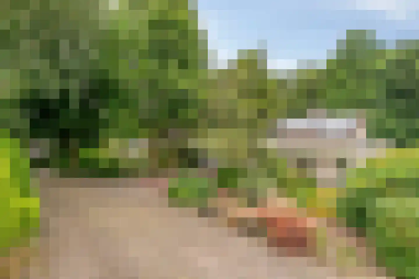 De Pondemaat 9 Dronten thumbnail 47