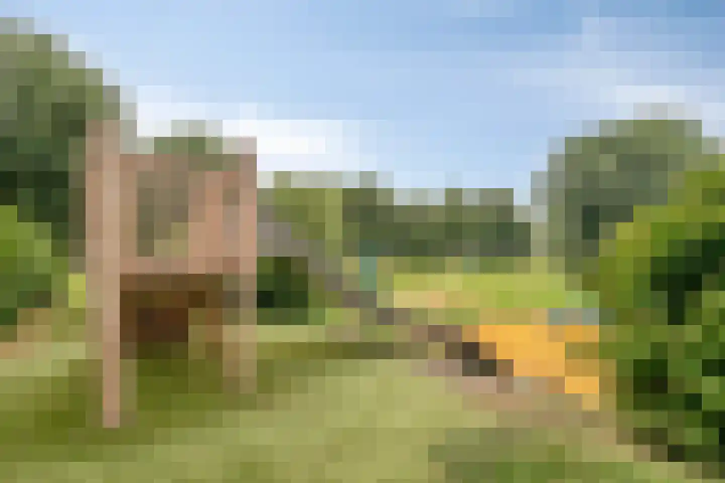 De Pondemaat 9 Dronten thumbnail 48