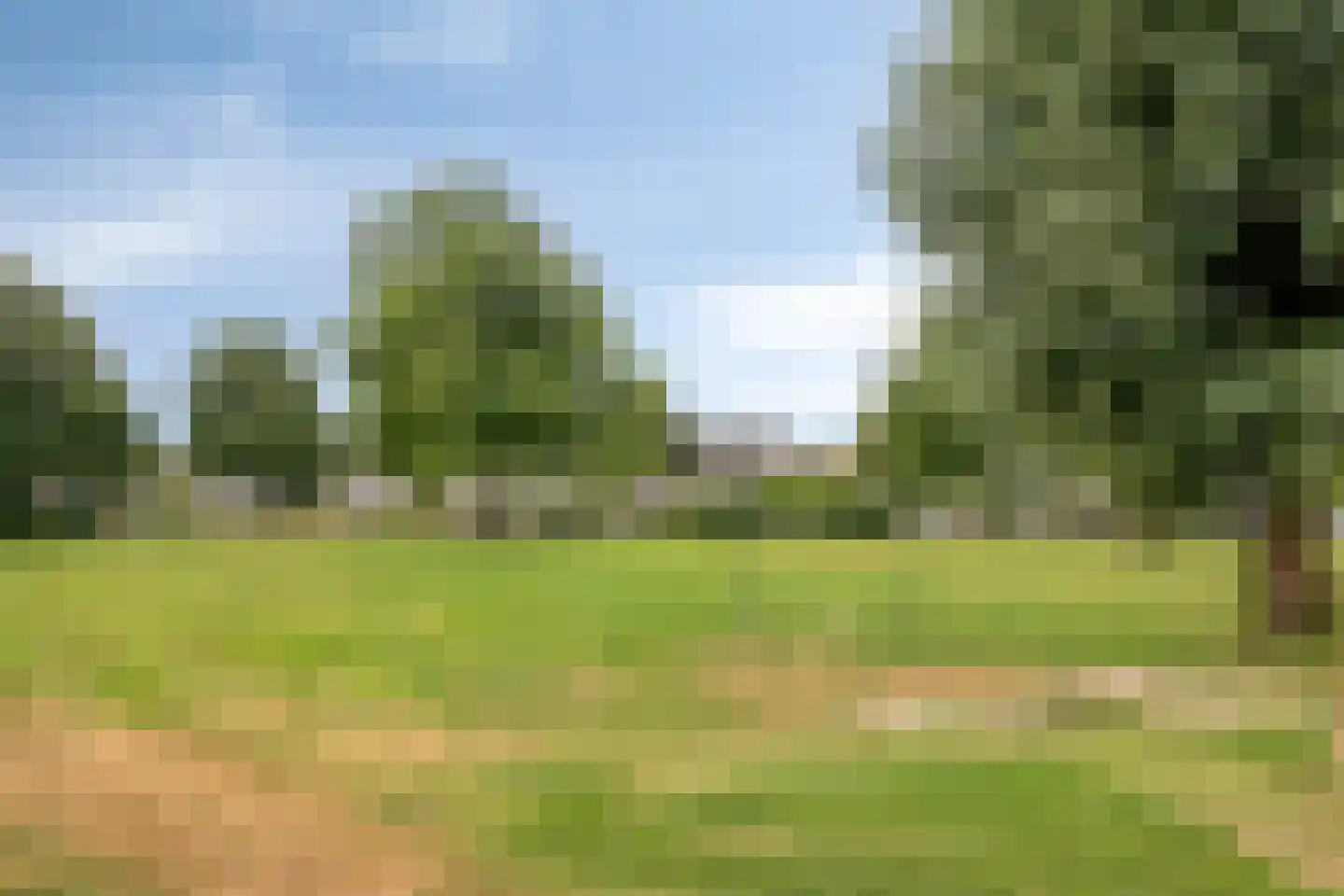 De Pondemaat 9 Dronten thumbnail 49