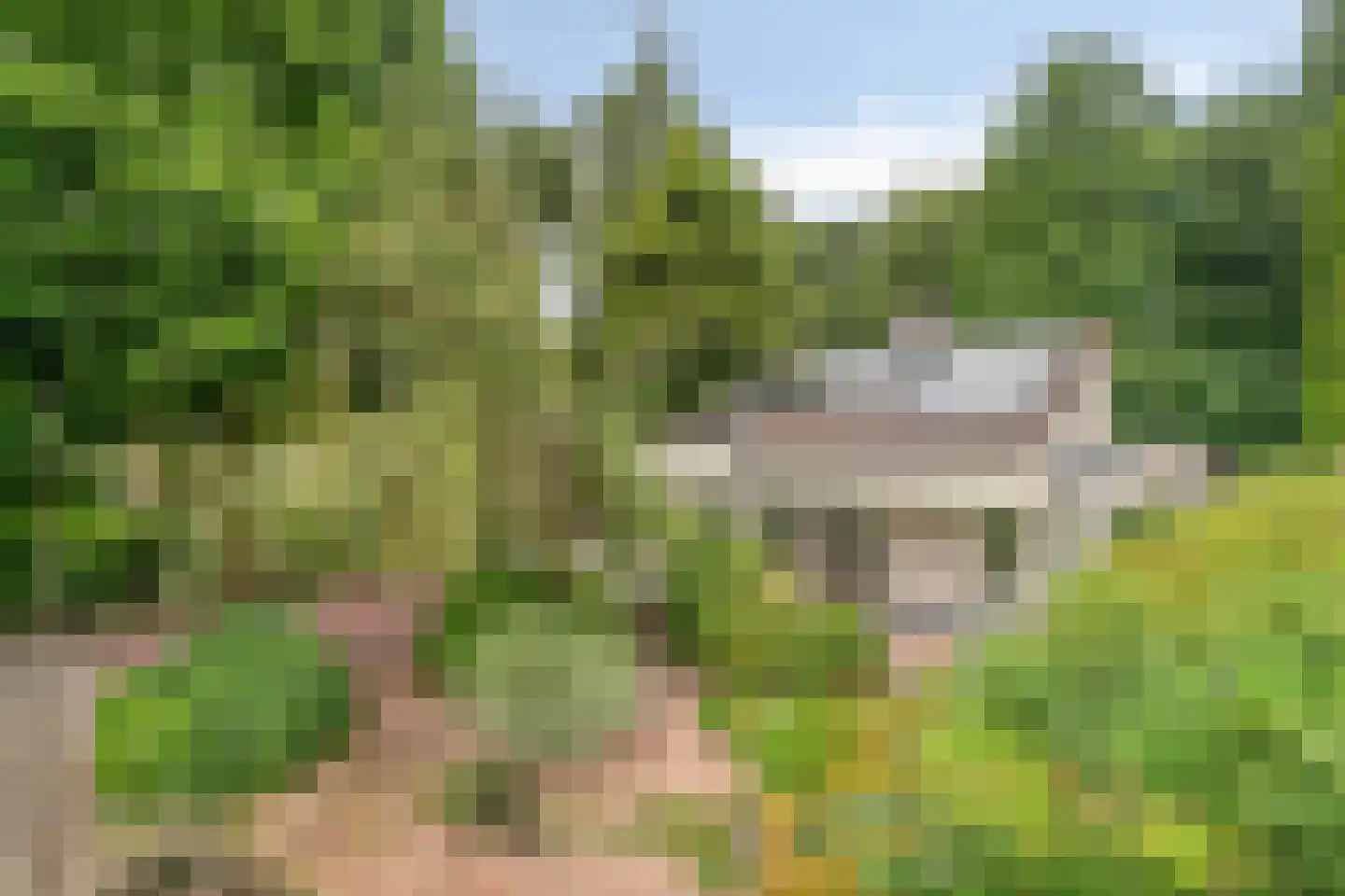 De Pondemaat 9 Dronten thumbnail 5