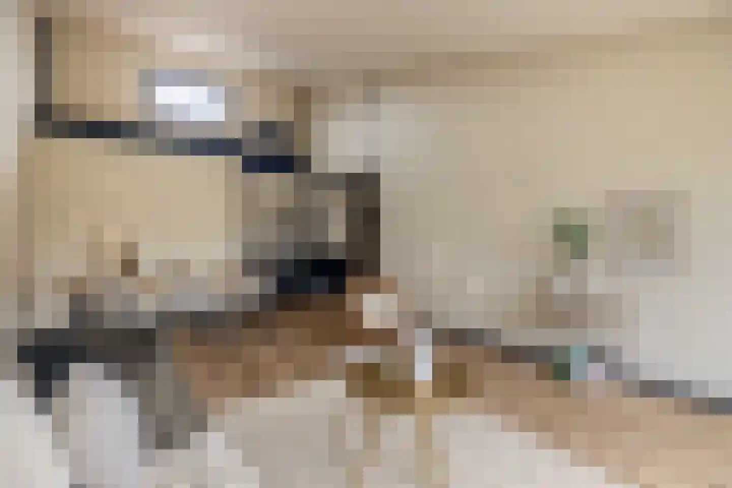 De Ponder 11 Biddinghuizen thumbnail 13
