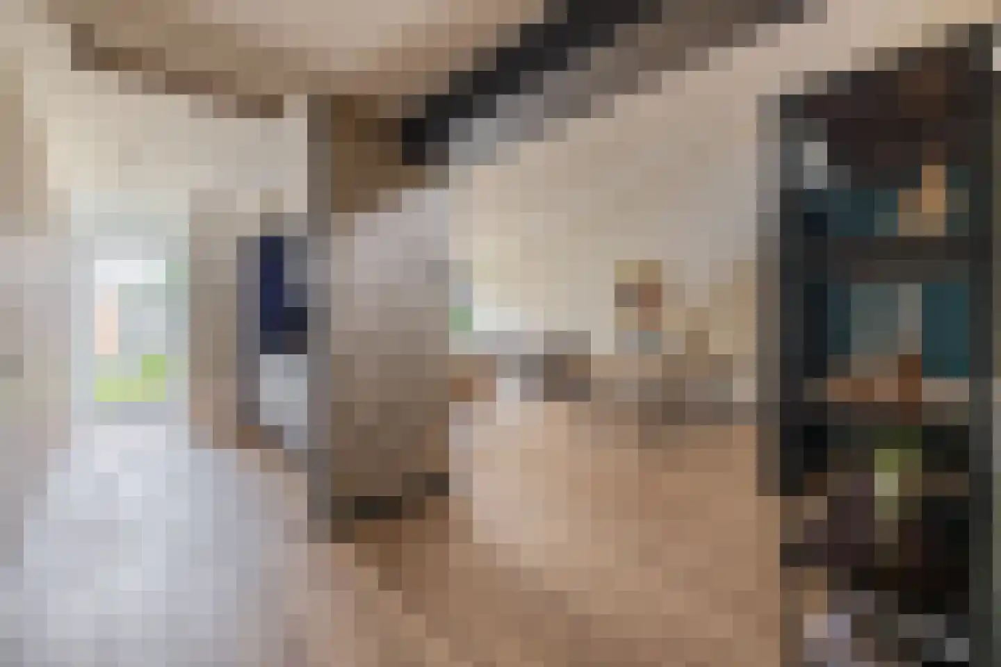 De Ponder 11 Biddinghuizen thumbnail 15