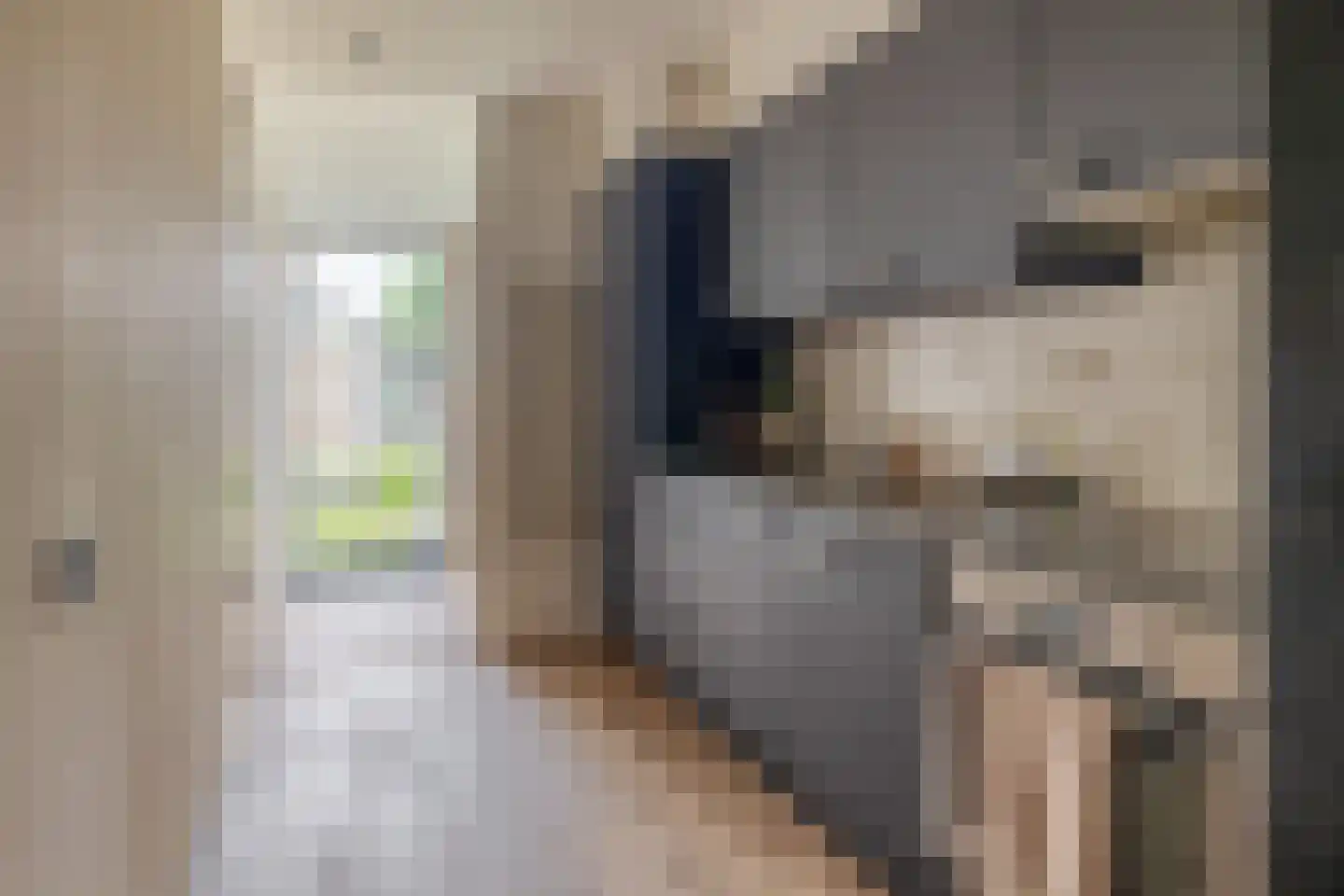 De Ponder 11 Biddinghuizen thumbnail 18