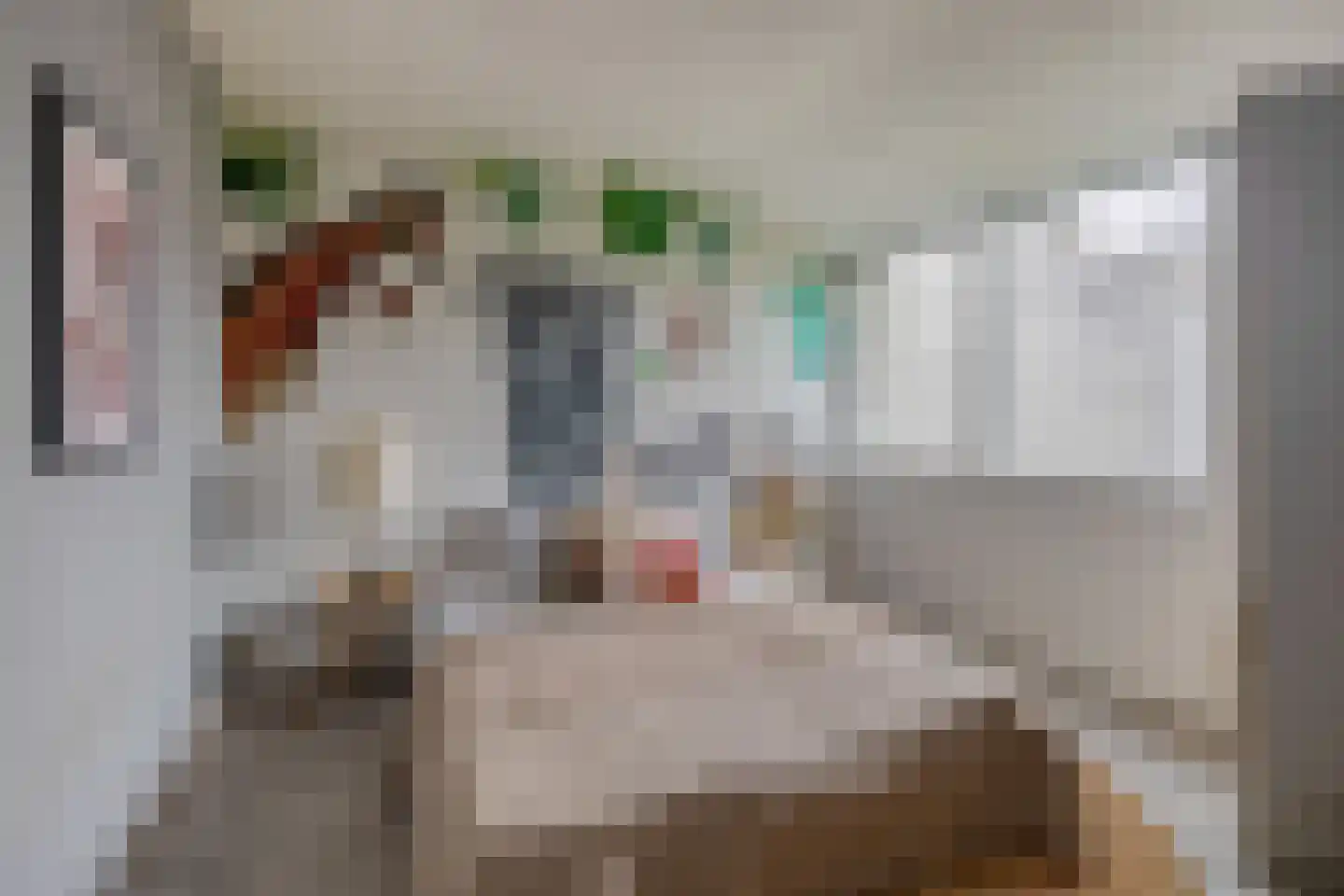 De Ponder 11 Biddinghuizen thumbnail 20