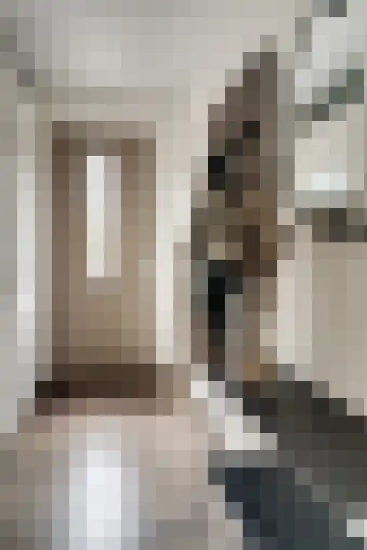 de Pontilaan 2 f Didam thumbnail 12