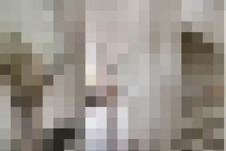 de Pontilaan 2 f Didam thumbnail 15