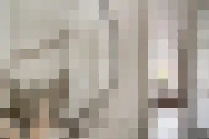 de Pontilaan 2 f Didam thumbnail 17