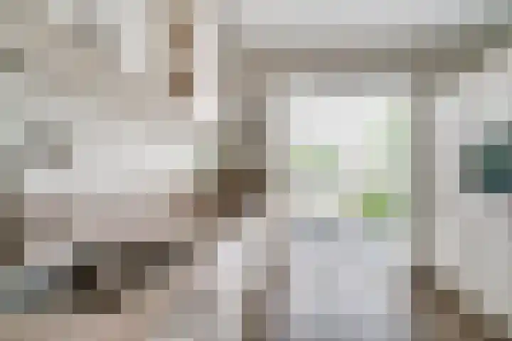 de Pontilaan 2 f Didam thumbnail 20