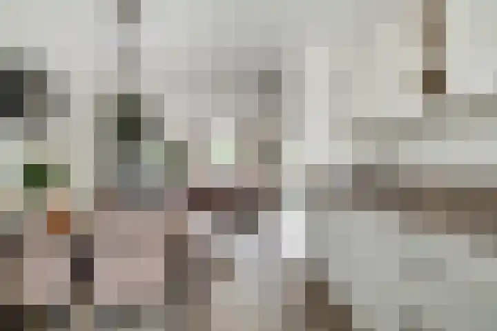 de Pontilaan 2 f Didam thumbnail 23
