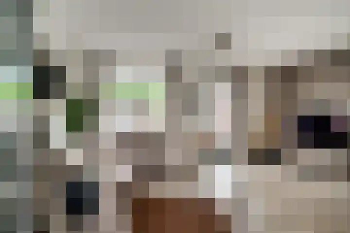 de Pontilaan 2 f Didam thumbnail 24