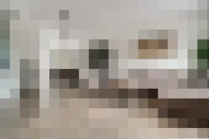 de Pontilaan 2 f Didam thumbnail 26