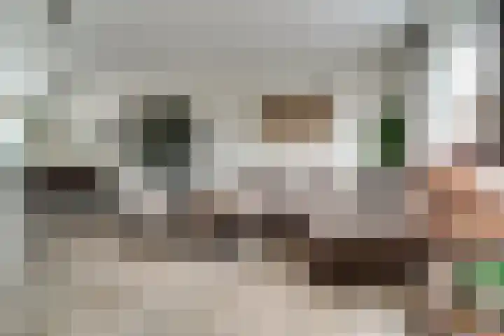 de Pontilaan 2 f Didam thumbnail 27