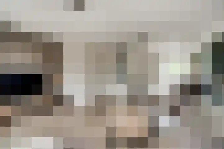 de Pontilaan 2 f Didam thumbnail 28