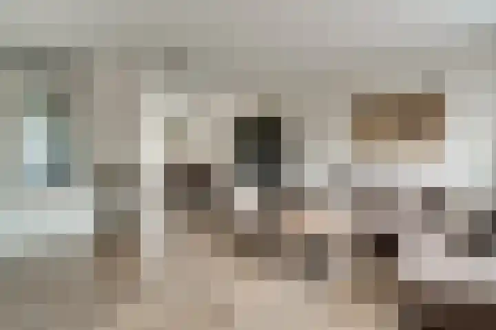 de Pontilaan 2 f Didam thumbnail 29