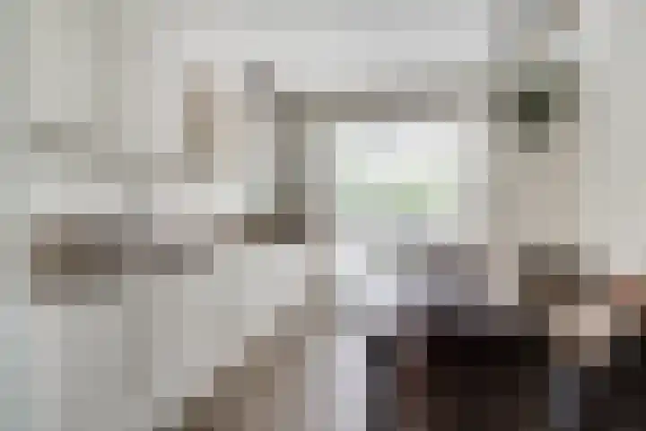de Pontilaan 2 f Didam foto 3