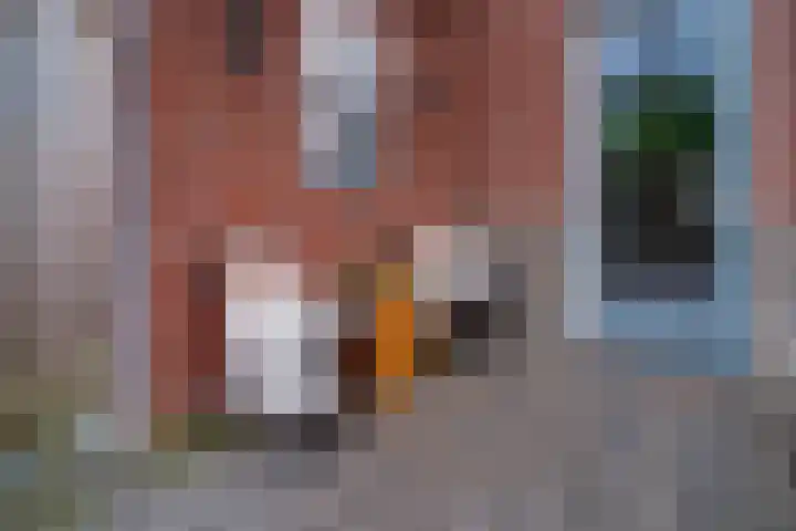 de Pontilaan 2 f Didam thumbnail 31