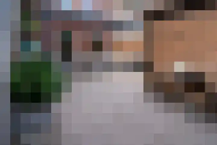 de Pontilaan 2 f Didam thumbnail 35