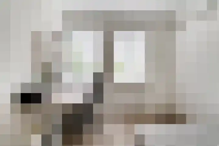 de Pontilaan 2 f Didam thumbnail 40