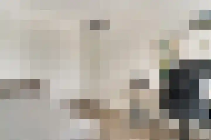 de Pontilaan 2 f Didam thumbnail 41