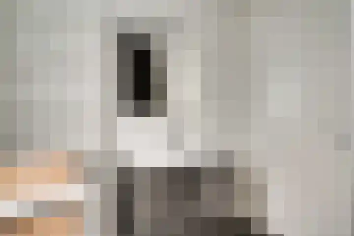 de Pontilaan 2 f Didam thumbnail 48