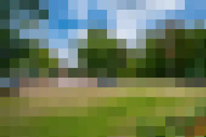 de Pontilaan 2 f Didam thumbnail 53