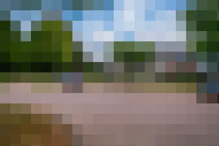 de Pontilaan 2 f Didam thumbnail 54