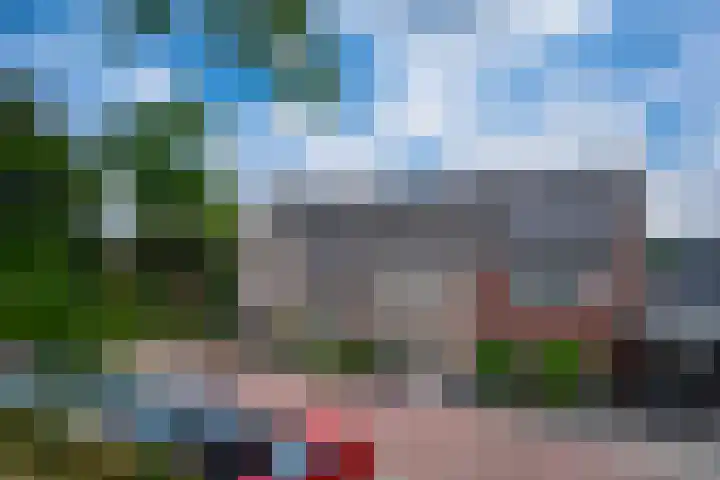 de Pontilaan 2 f Didam thumbnail 64