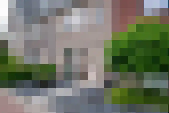 de Pontilaan 2 f Didam thumbnail 9