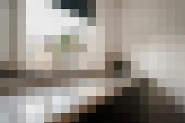 de Pontilaan 2 g Didam thumbnail 16