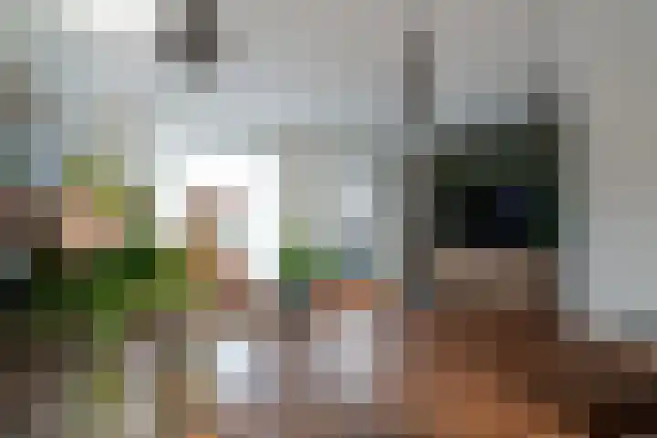 de Pontilaan 2 g Didam thumbnail 18