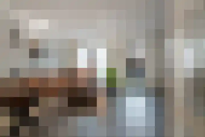 de Pontilaan 2 g Didam foto 2