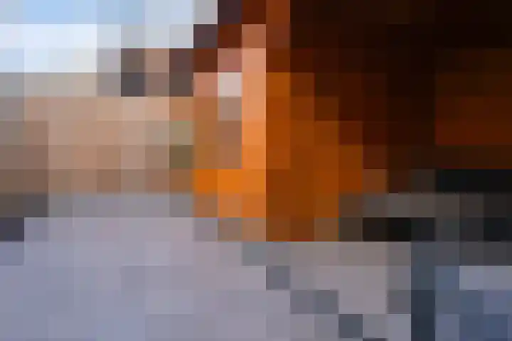 de Pontilaan 2 g Didam thumbnail 26