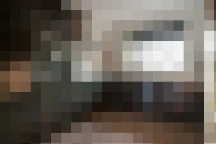 de Pontilaan 2 g Didam foto 3