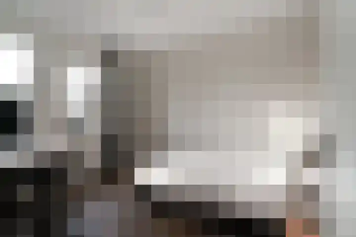 de Pontilaan 2 g Didam thumbnail 37