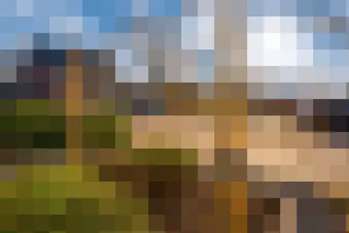 de Pontilaan 2 g Didam thumbnail 8