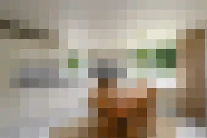 de Pontsjer 21 Nieuwehorne thumbnail 12