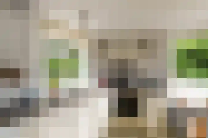 de Pontsjer 21 Nieuwehorne thumbnail 14