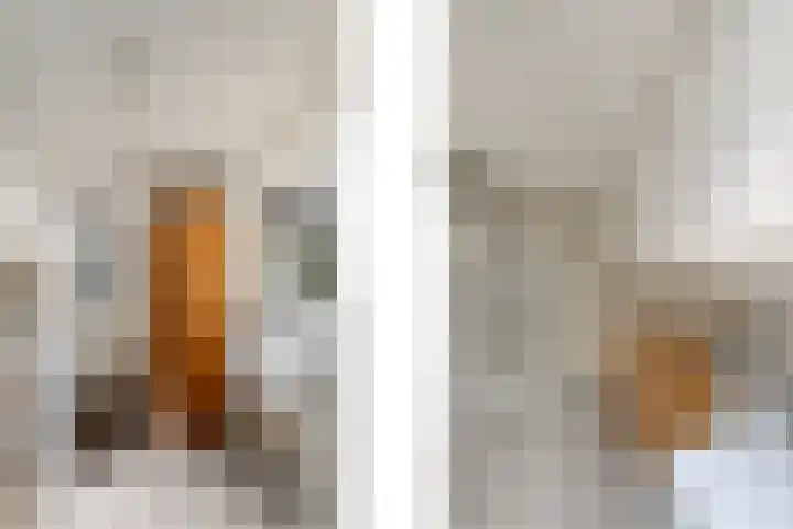 de Pontsjer 21 Nieuwehorne thumbnail 15