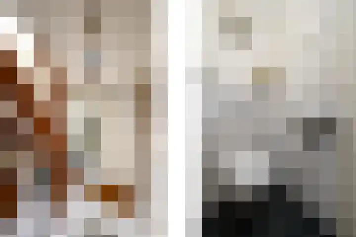 de Pontsjer 21 Nieuwehorne thumbnail 16