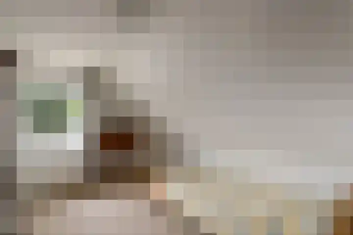 de Pontsjer 21 Nieuwehorne thumbnail 21