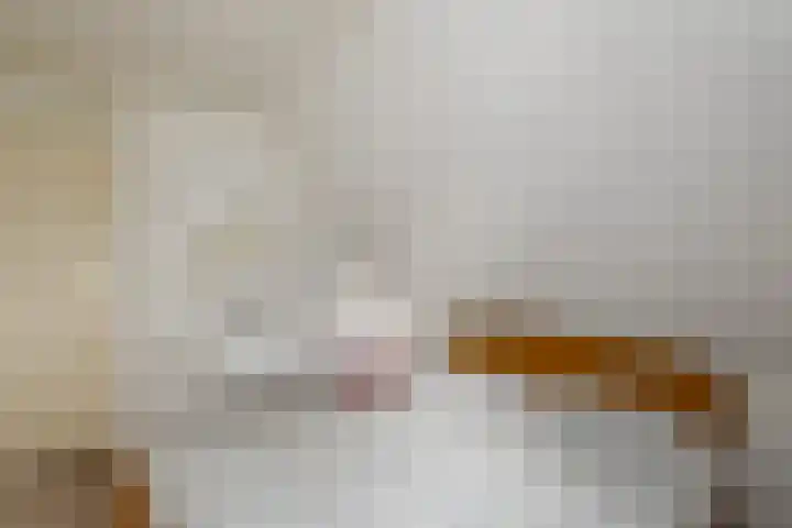 de Pontsjer 21 Nieuwehorne thumbnail 25
